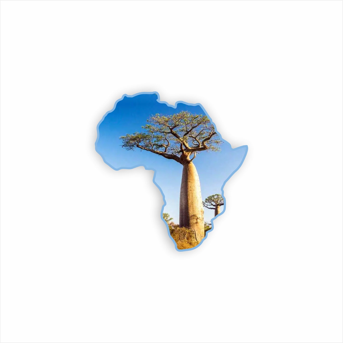 Boabab Tree Fridge Magnet