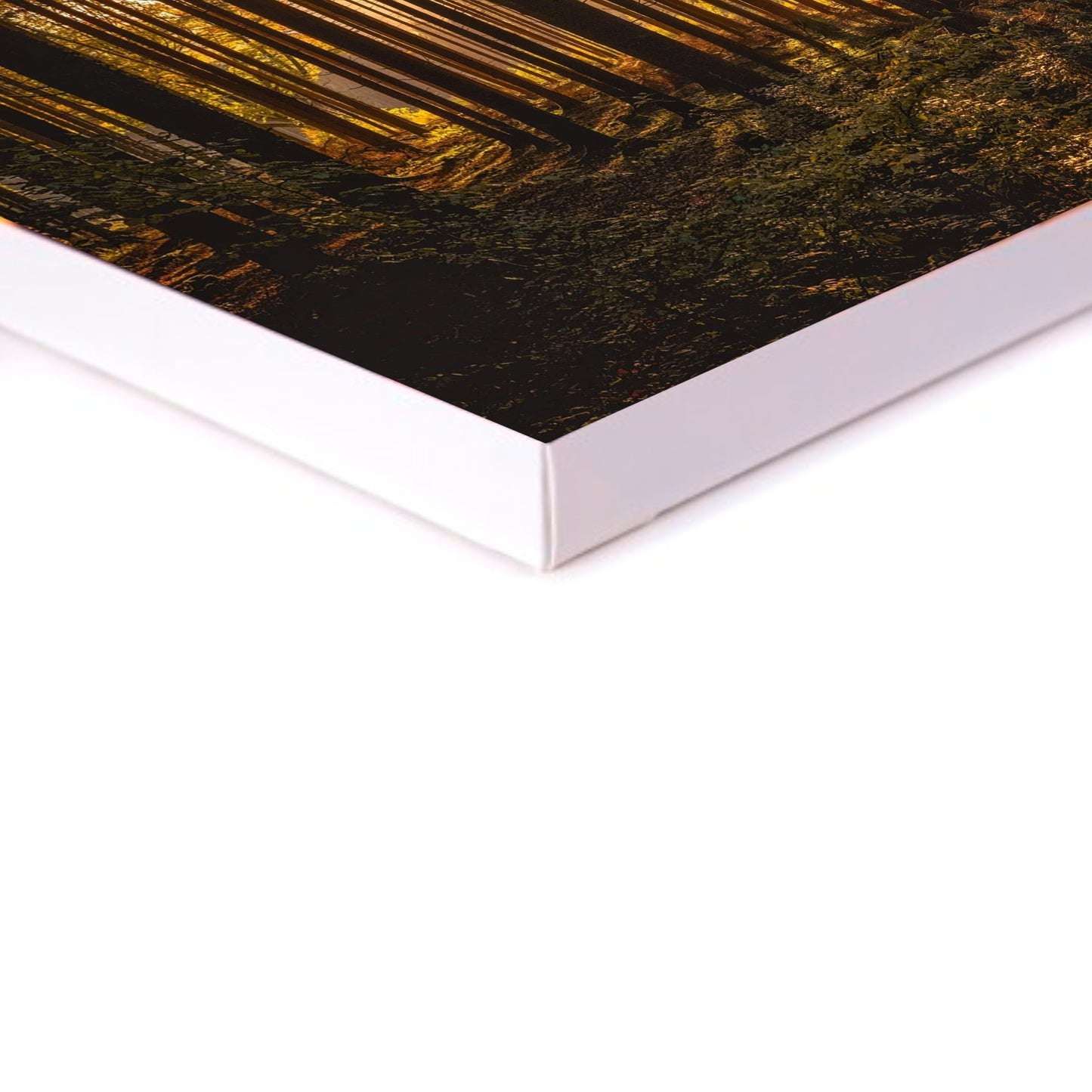 Woods Canvas | Stretched onto Wooden Frame