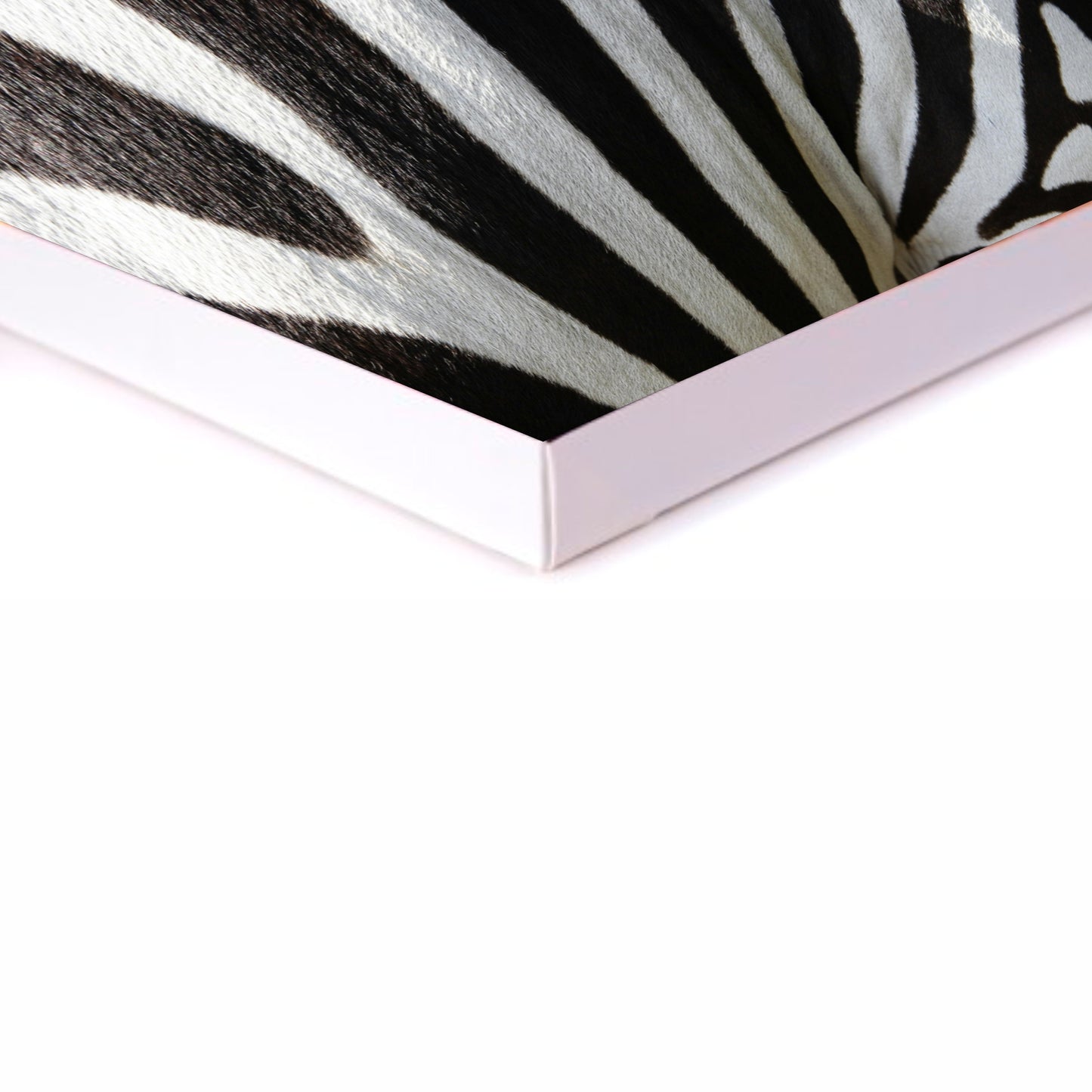 Zebra Skin Canvas | Stretched onto Wooden Frame