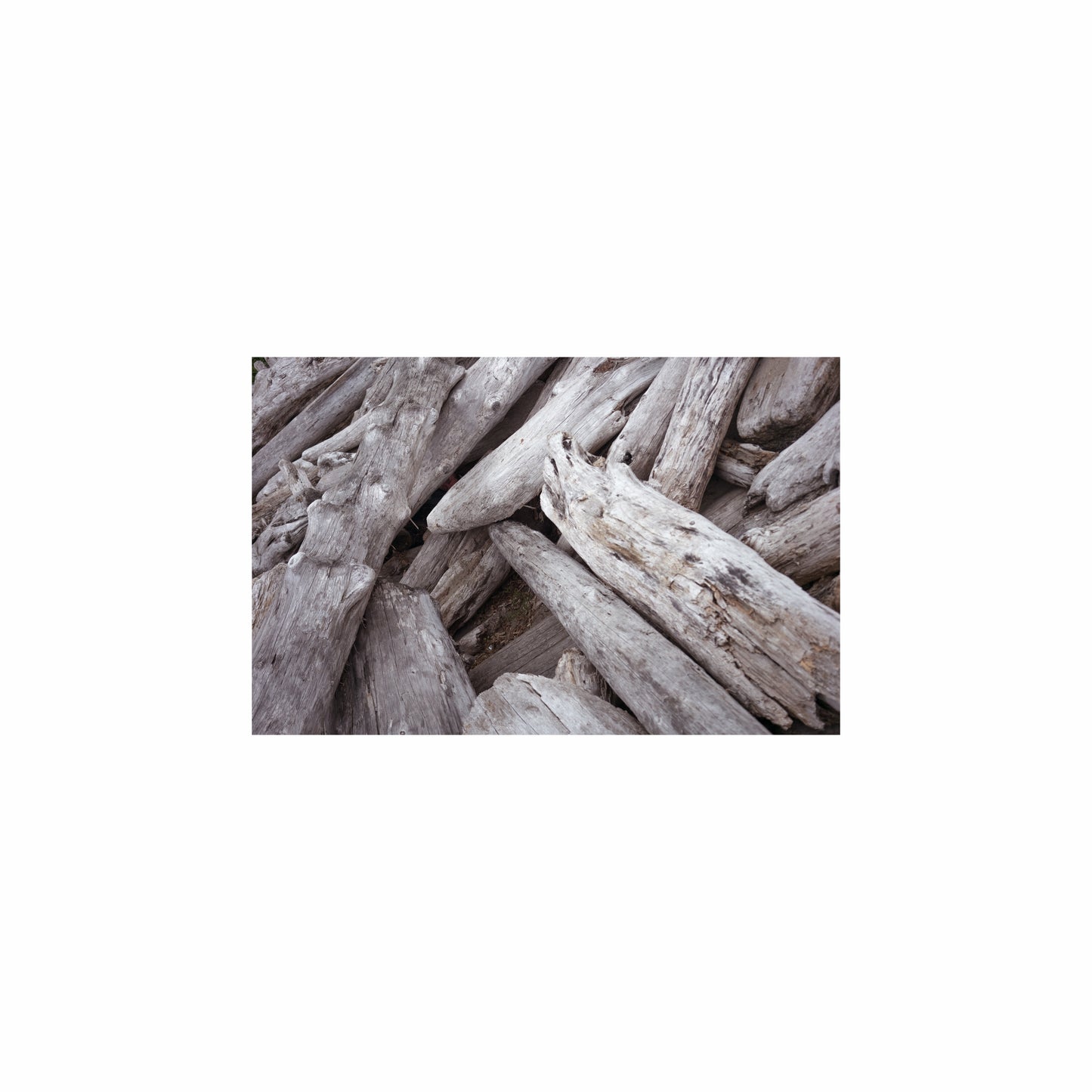 Fish Tank / Enclosure Background | Driftwood