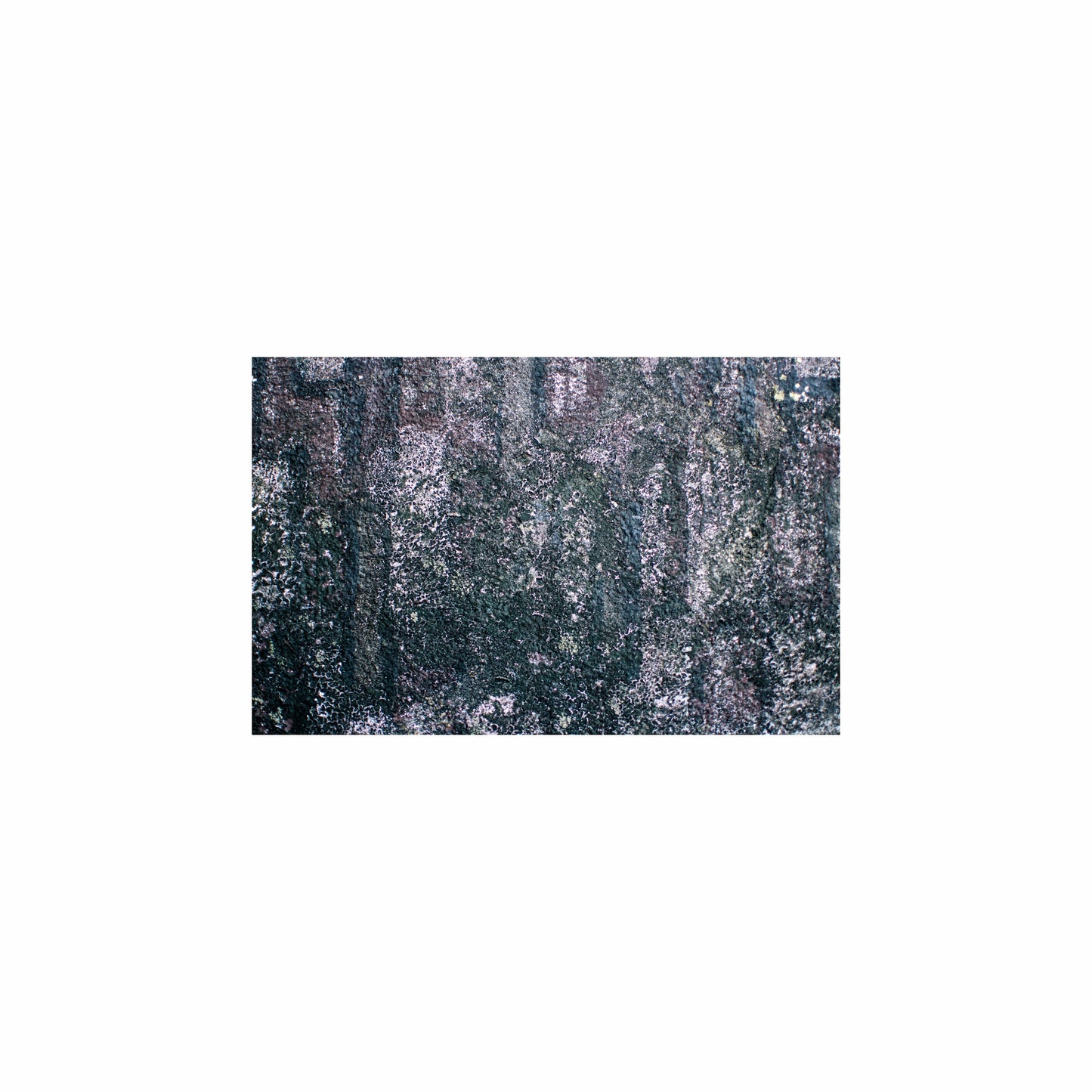 Fish Tank / Enclosure Background | Dry Wall