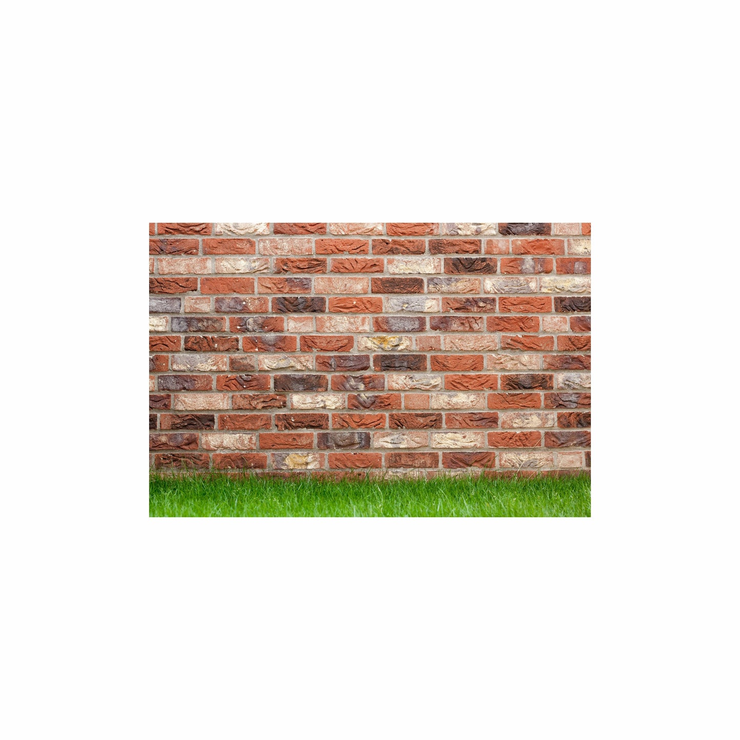 Flatlay for Product Photography | Brick Wall & Grass