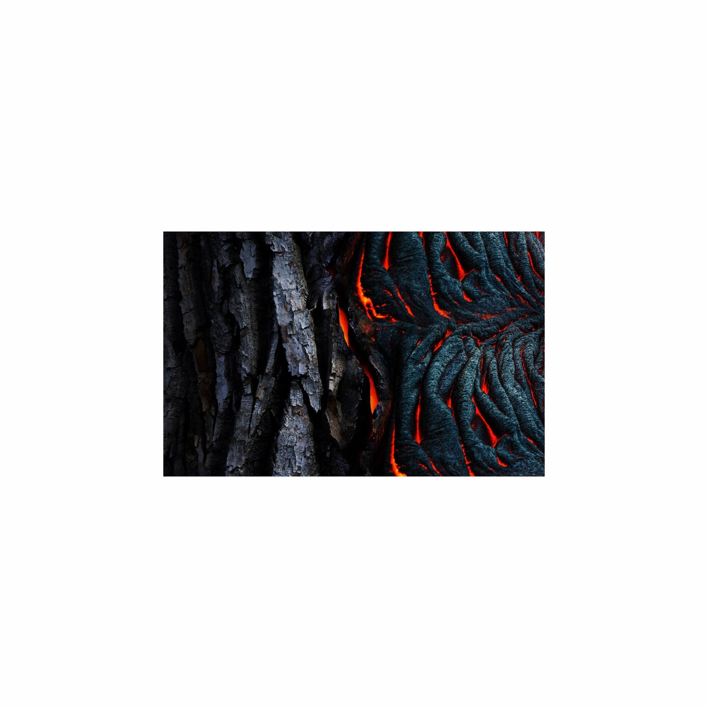 Fish Tank / Enclosure Background | Lava Black Rock