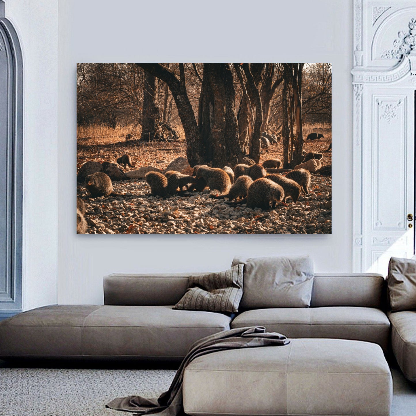 Mongoose Canvas | Stretched onto Wooden Frame
