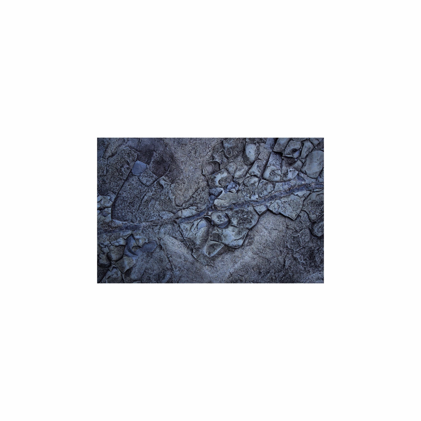 Fish Tank / Enclosure Background | Moon Ashes