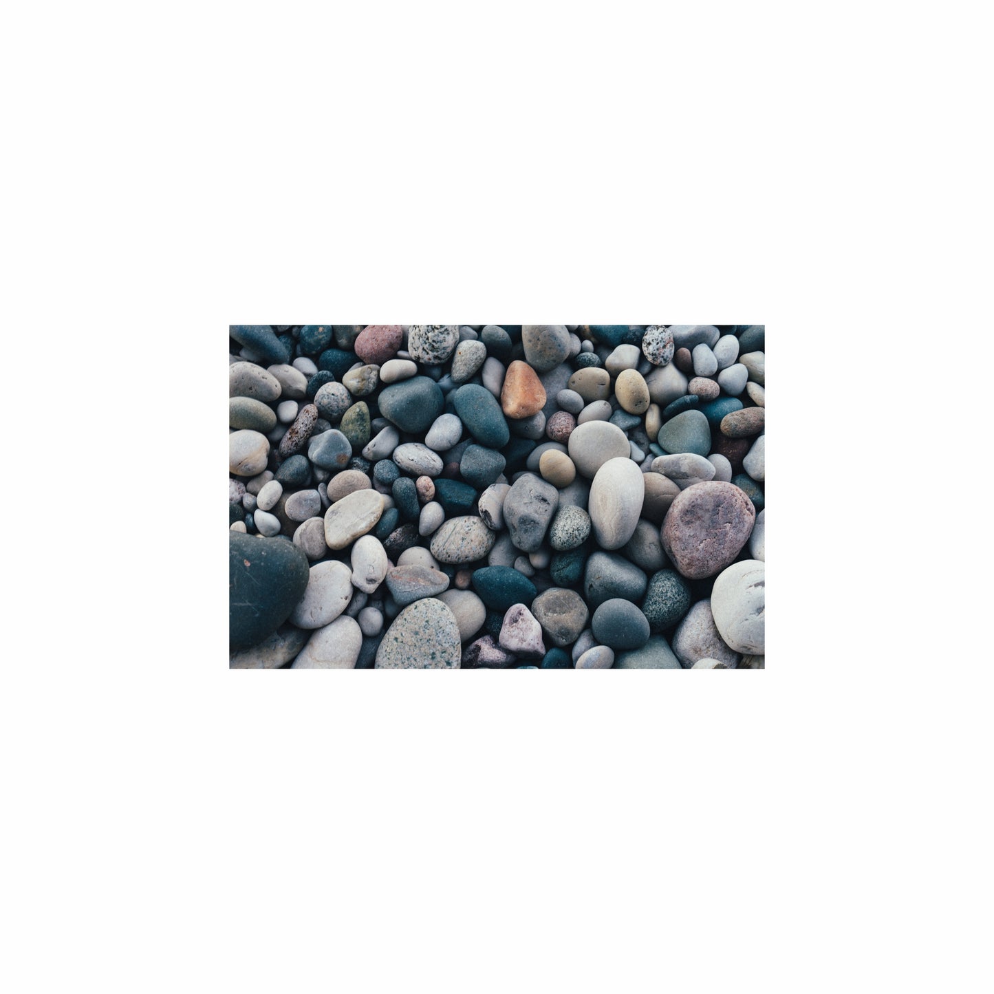 Fish Tank / Enclosure Background | Pebbles