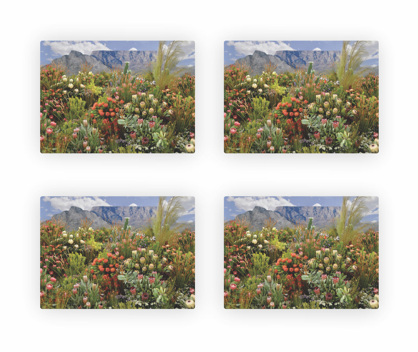 Protea Themed Placemats 6