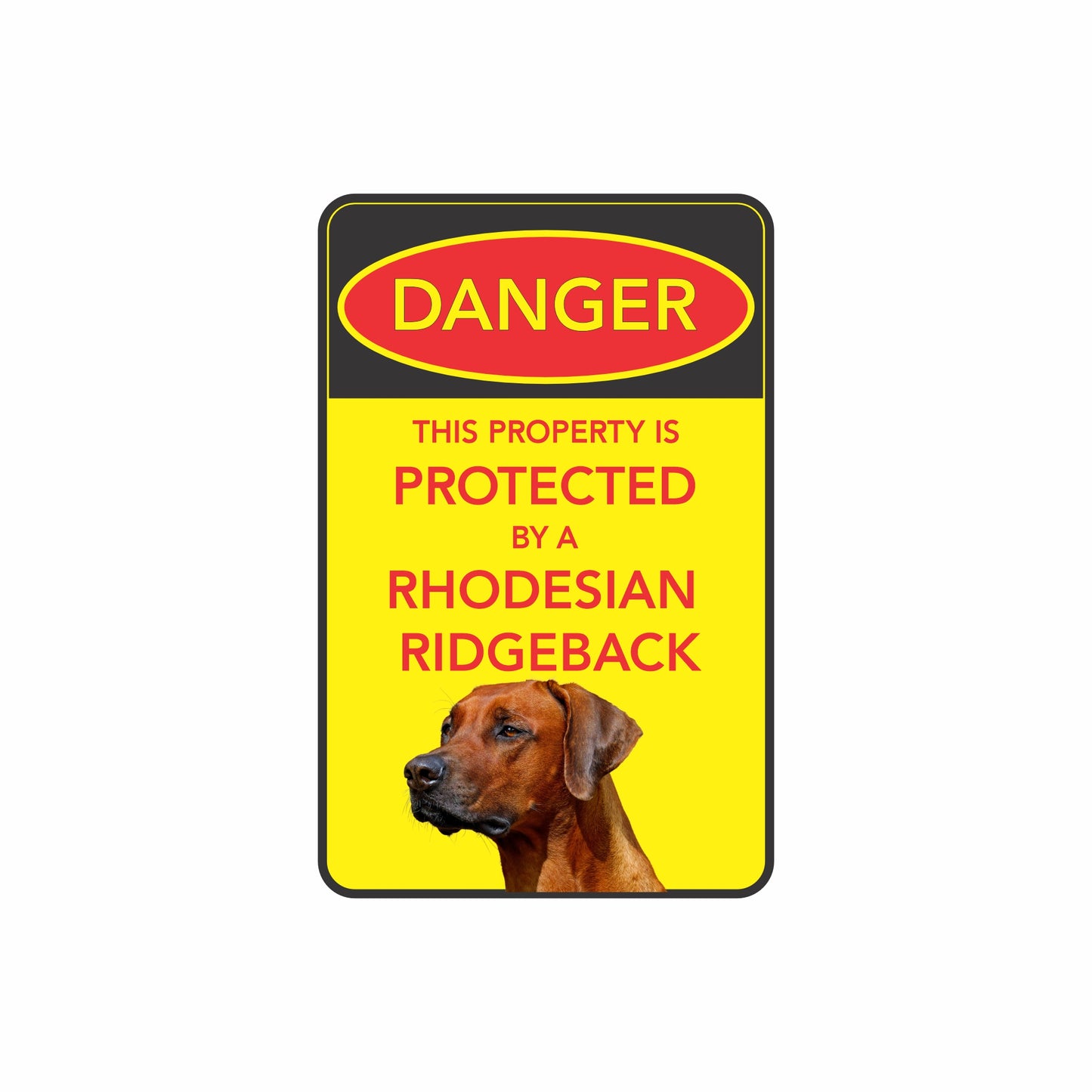 Rhodesian Ridgeback Dog | Property Warning Steel Sign | 300mm x 200mm