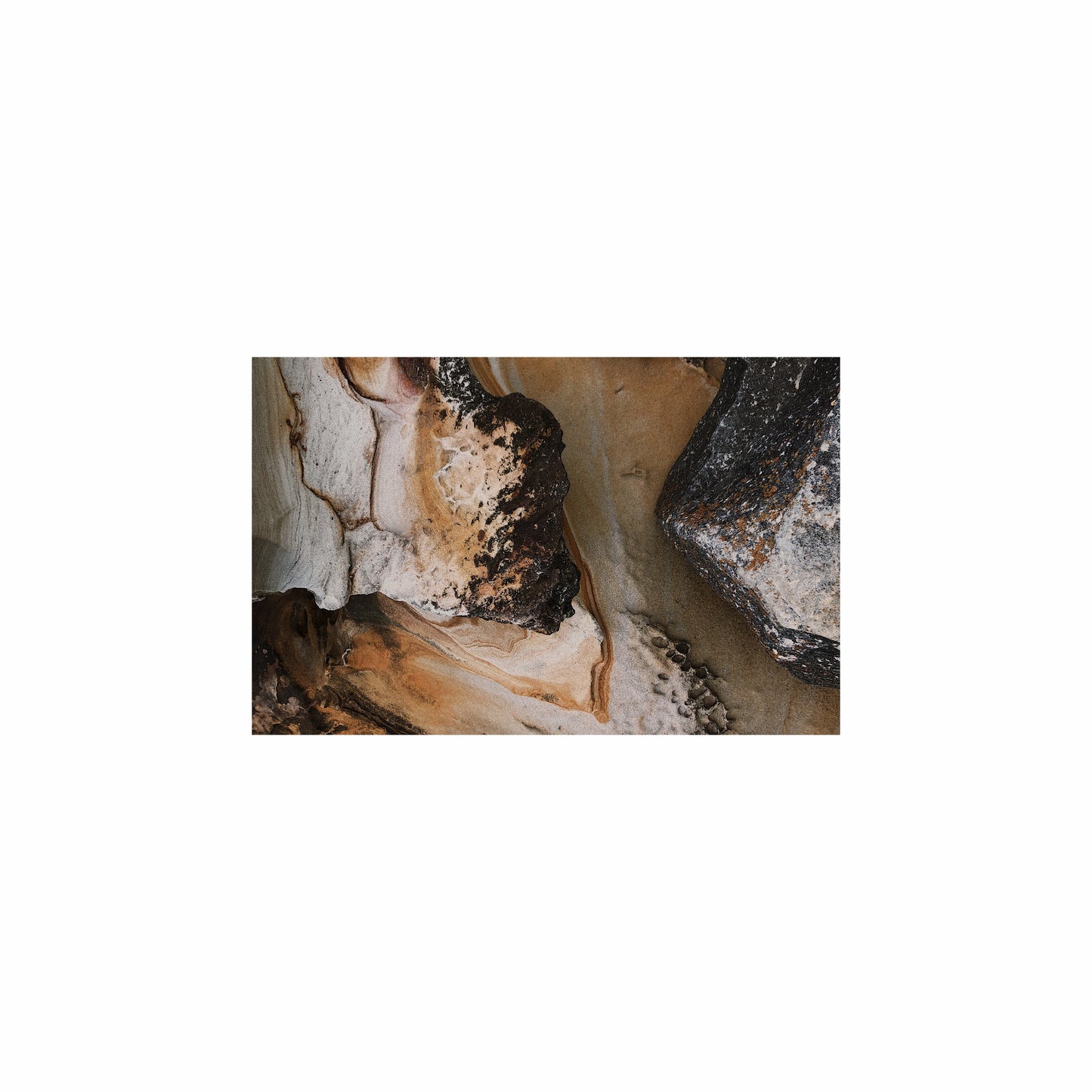 Fish Tank / Enclosure Background | Rock Trails