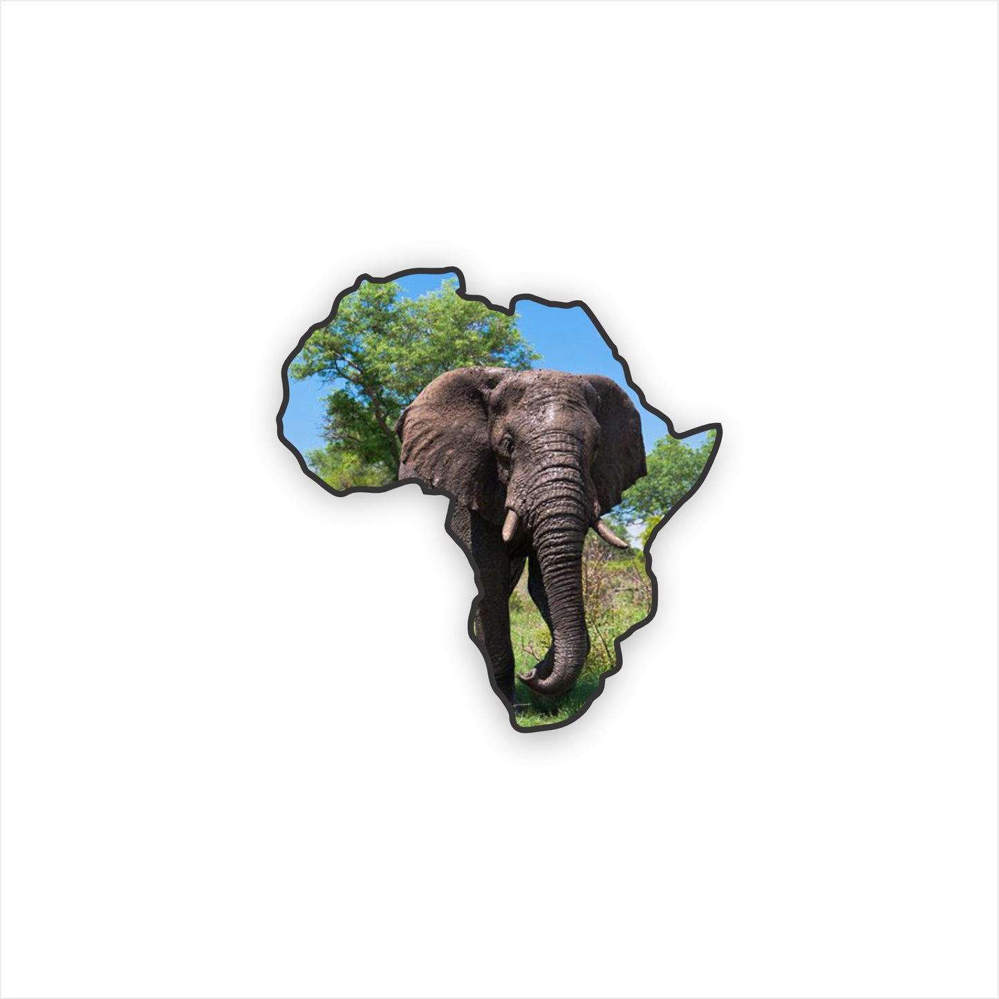 South African Elephant Fridge Magnet