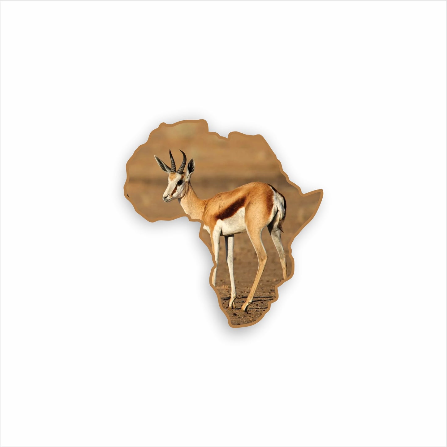 Springbok Fridge Magnet