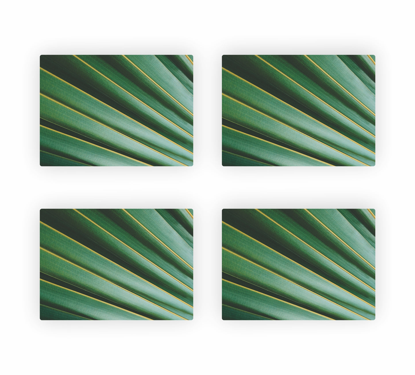 Tropical Themed Placemats 7