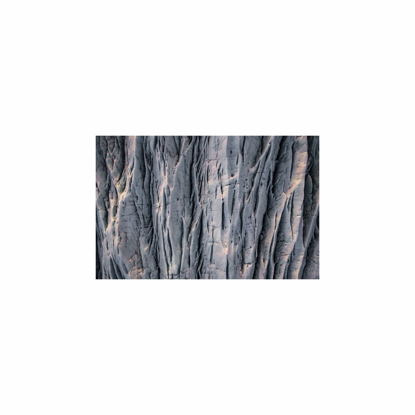 Fish Tank / Enclosure Background | Wood Canyon