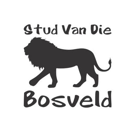 Bakkie Sticker - Stud Lion