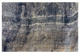 Fishtank or Enclosure Background | Reverse Print Mountain