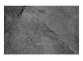 Fishtank or Enclosure Background | Reverse Print Grey Stone