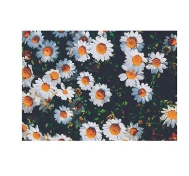 Flatlay Flower Themed