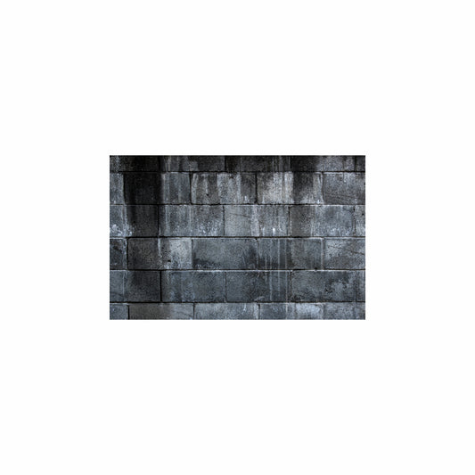 Fish Tank / Enclosure Background | Abandoned Wall