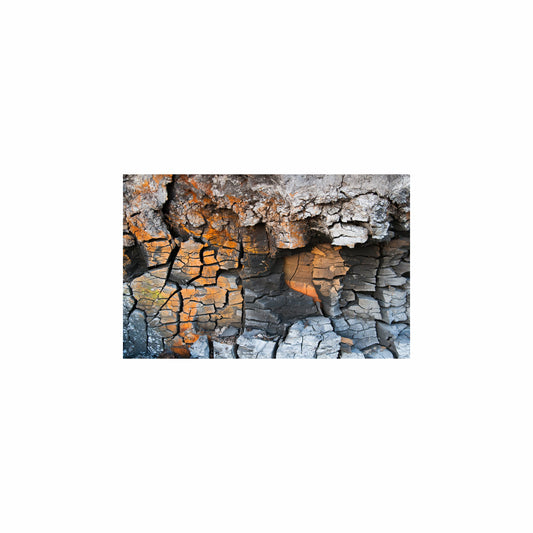 Fish Tank / Enclosure Background | Burned Rock