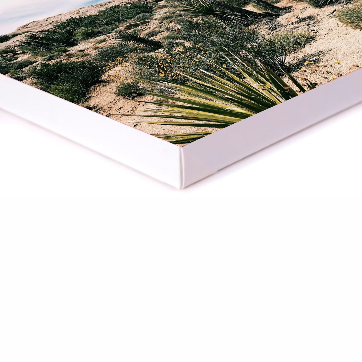 Desert Canvas | Stretched onto Wooden Frame