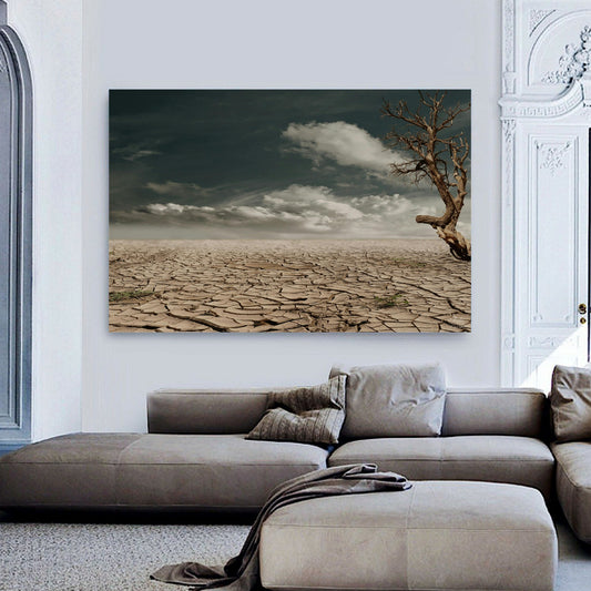 Dry Soil Canvas | Stretched onto Wooden Frame