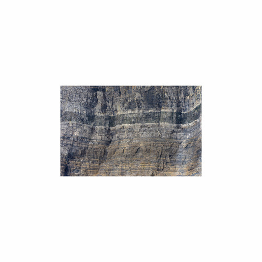 Fish Tank / Enclosure Background | Canyon