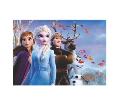 Frozen Poster A1