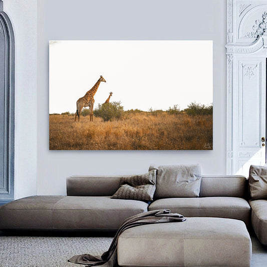 Giraffe Canvas | Stretched onto Wooden Frame