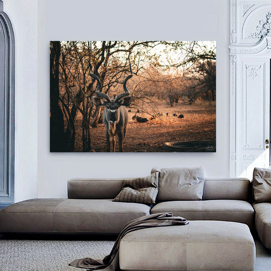 Kudu in Bushveld Canvas | Stretched onto Wooden Frame