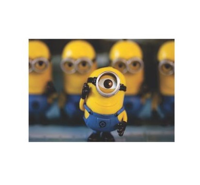Minions Poster A1