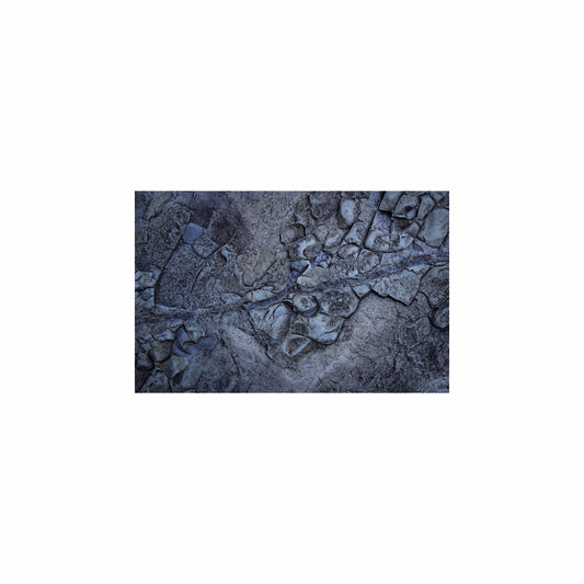 Fish Tank / Enclosure Background | Moon Ashes