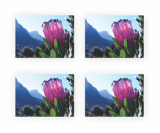 Protea Themed Placemats 1