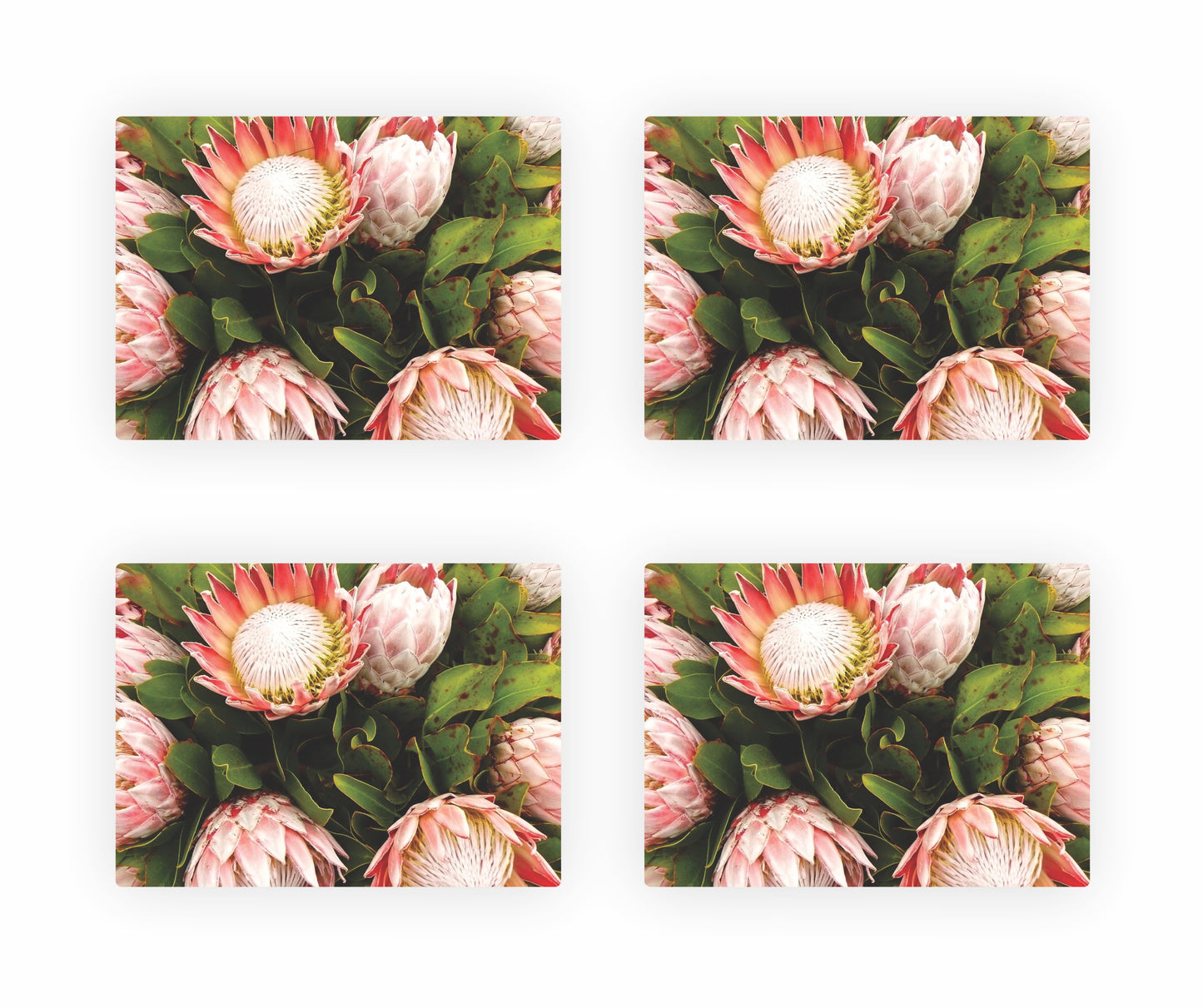 Protea Themed Placemats 10