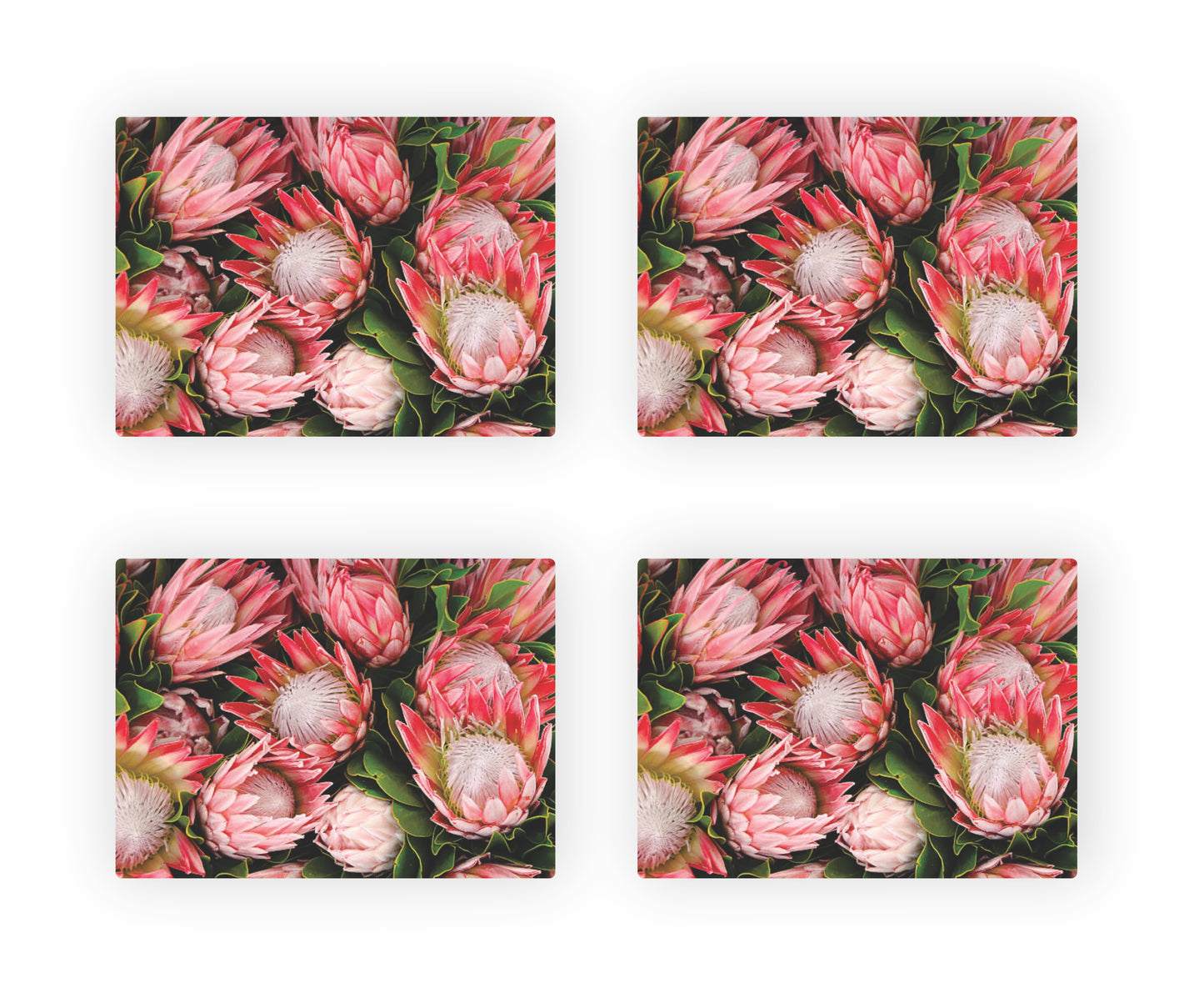 Protea Themed Placemats 8