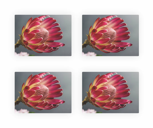 Protea Themed Placemats 9