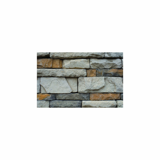 Fish Tank / Enclosure Background | Rock Wall