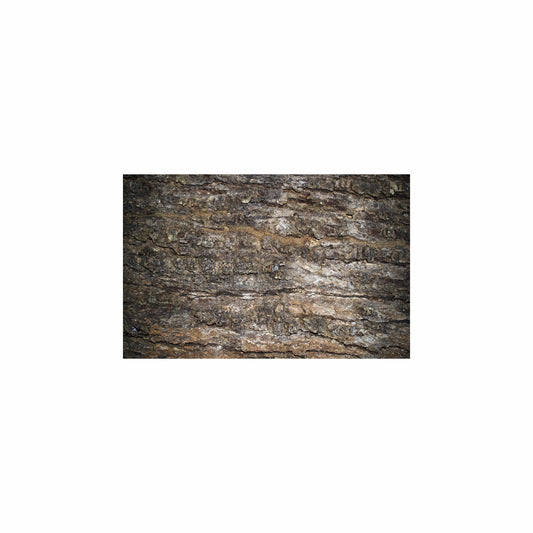 Fish Tank / Enclosure Background | Rough Wall