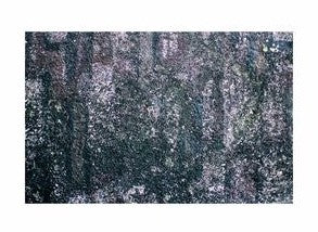 Fishtank or Enclosure Background | Reverse Print Rough Textured Rock