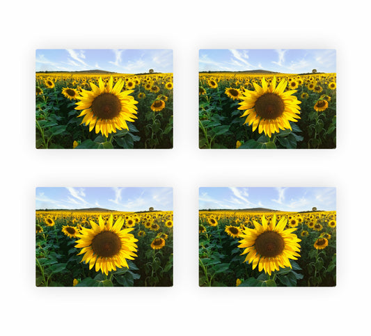 Sunflower Themed Placemats 10