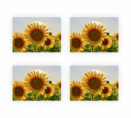 Sunflower Themed Placemats 2