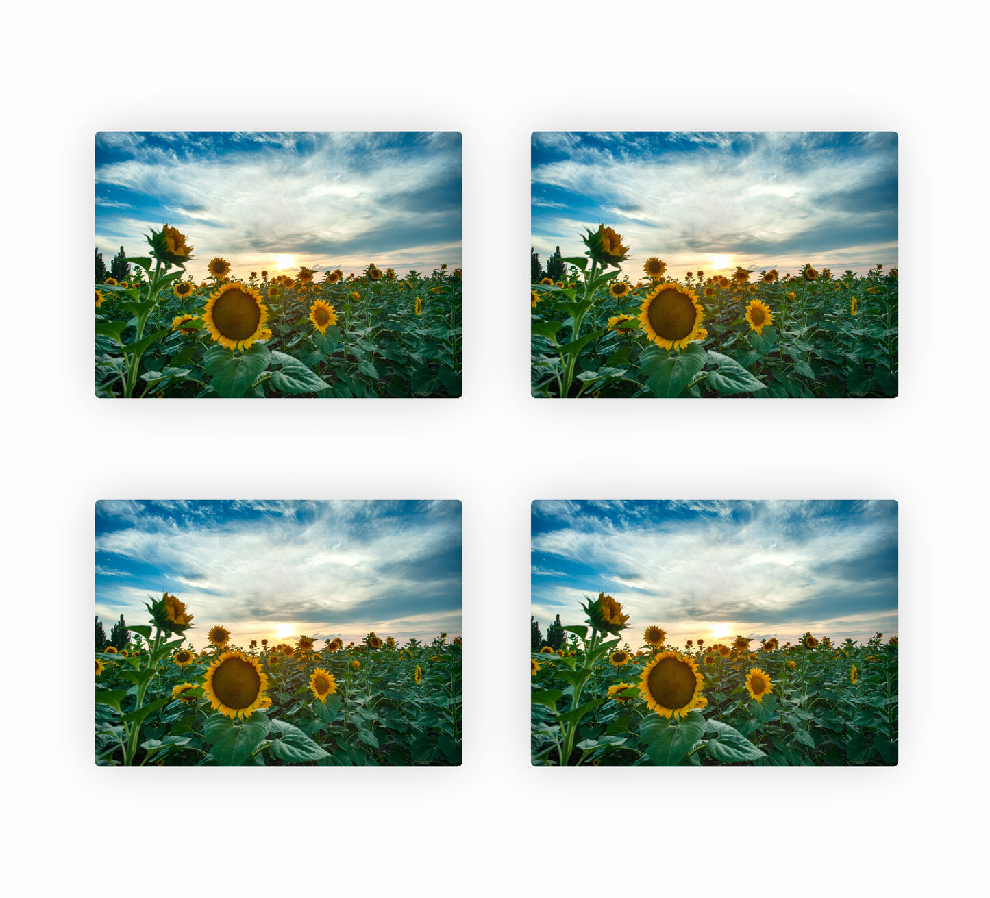 Sunflower Themed Placemats 3