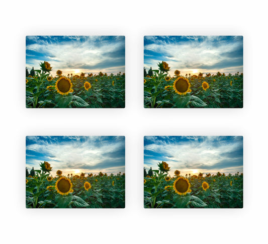 Sunflower Themed Placemats 3
