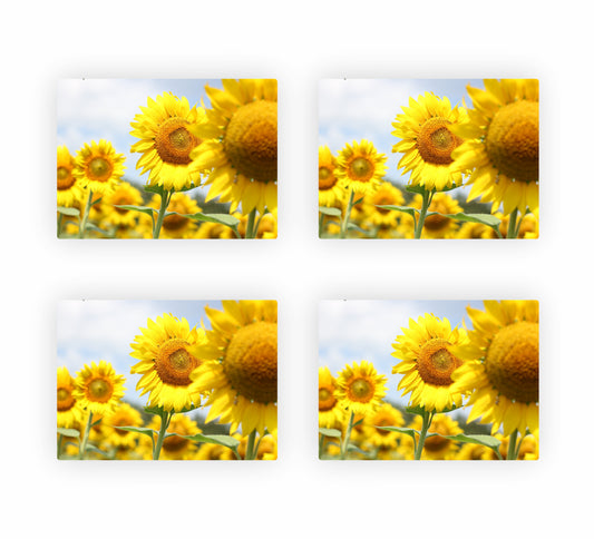 Sunflower Themed Placemats 4