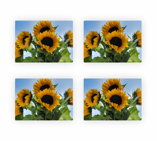 Sunflower Themed Placemats 6