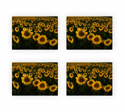 Sunflower Themed Placemats 9
