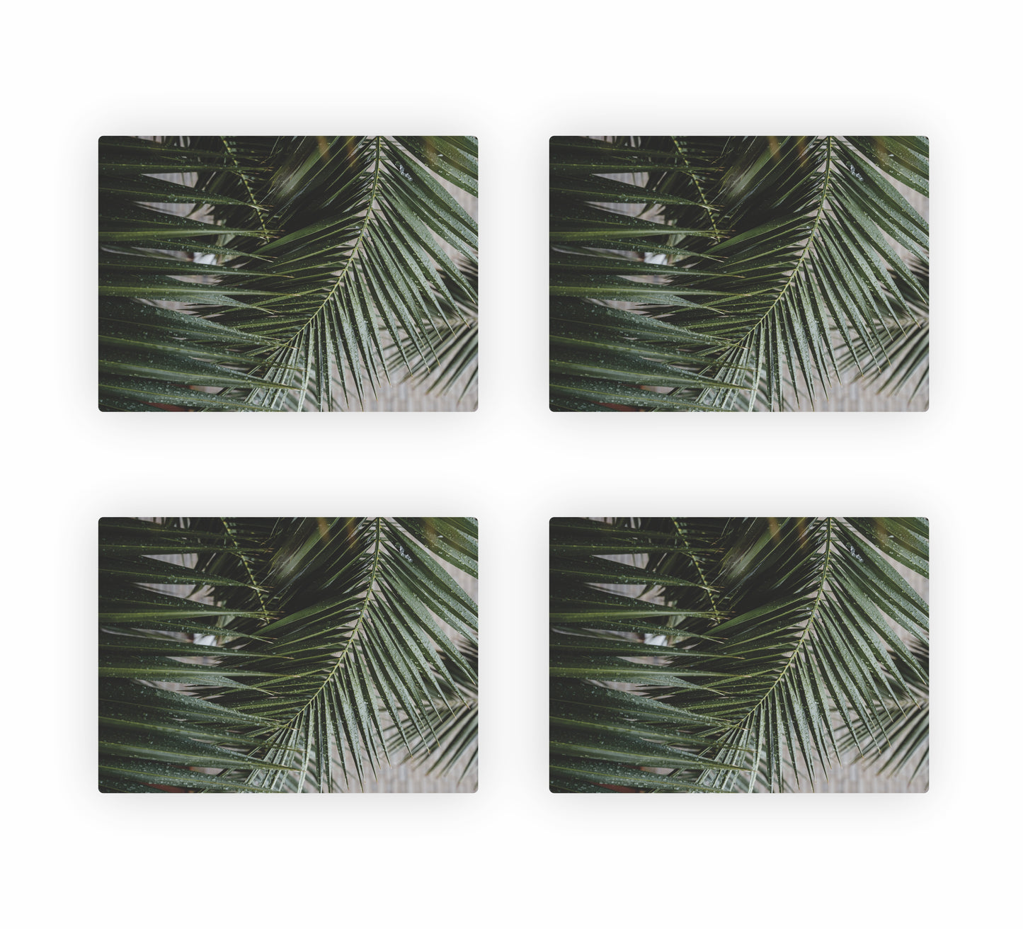 Tropical Themed Placemats 6