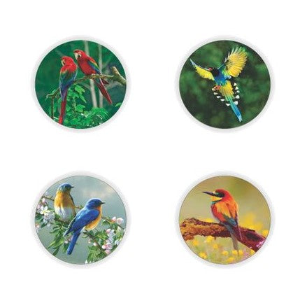 Bird Theme Coasters