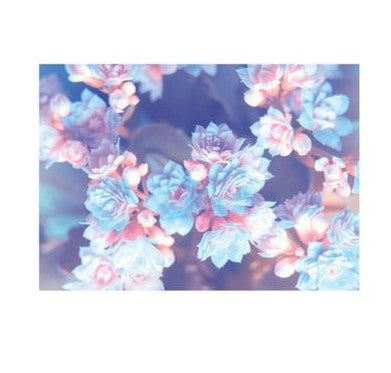 Flatlay Flower Themed