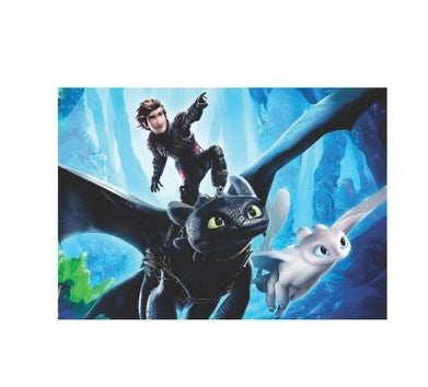 How to Train your Dragon Poster A1