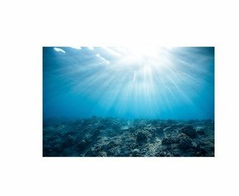 Fish Tank Background Reverse Print Marine